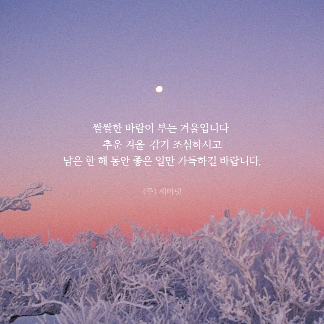 [세미넷] 여러분은 이번 해 어떻게 보내셧나요?