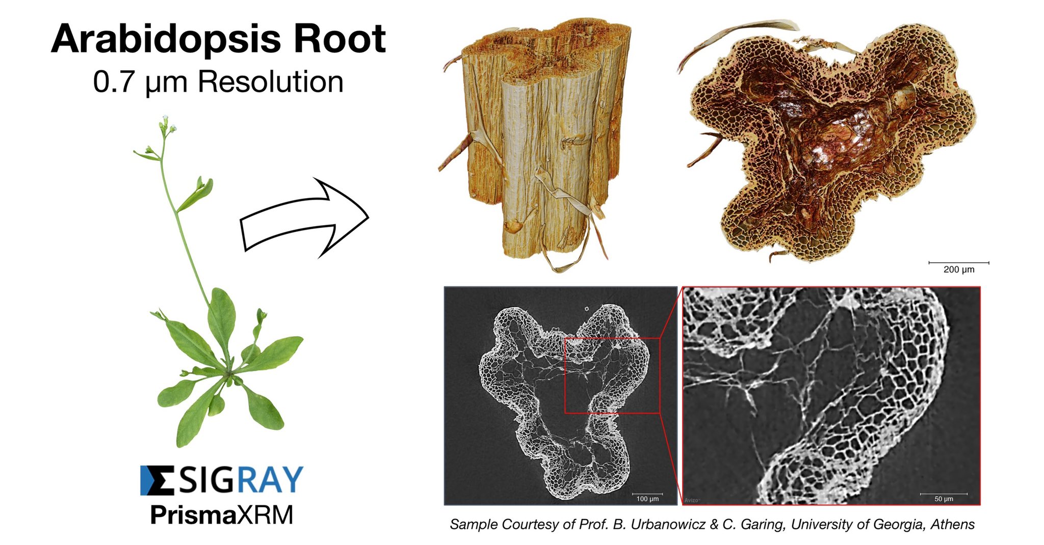 [Sigray] 지구의 날을 기념해 자연을 알아보다